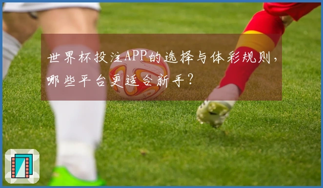 世界杯投注APP的选择与体彩规则，哪些平台更适合新手？