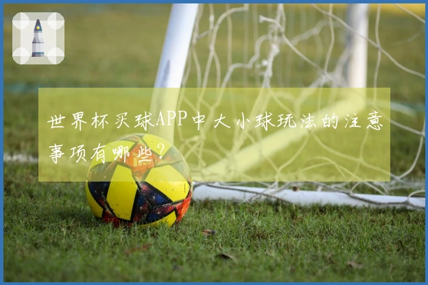 世界杯买球APP中大小球玩法的注意事项有哪些？